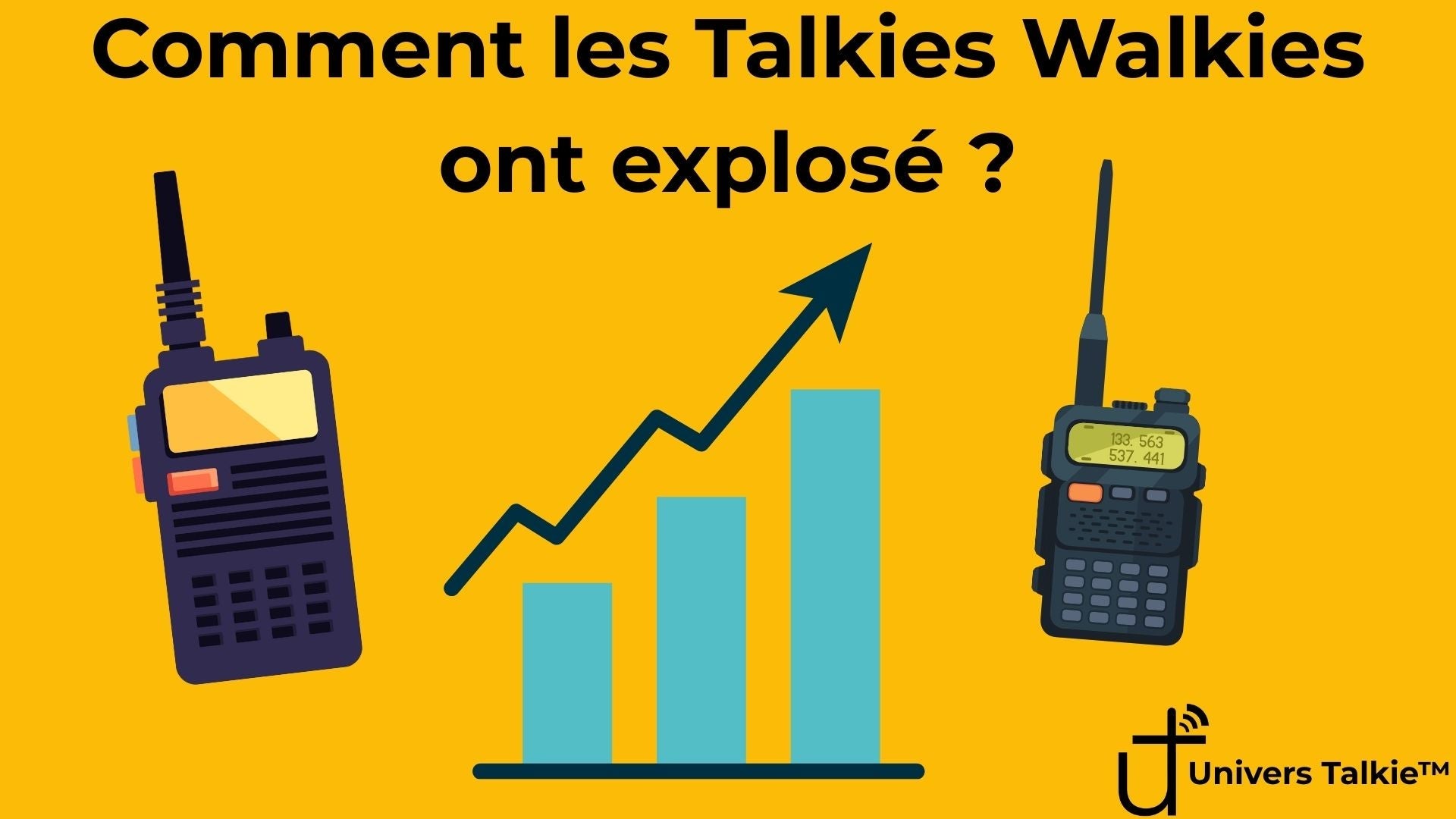 Comment les Talkies Walkies ont explosé ? Image